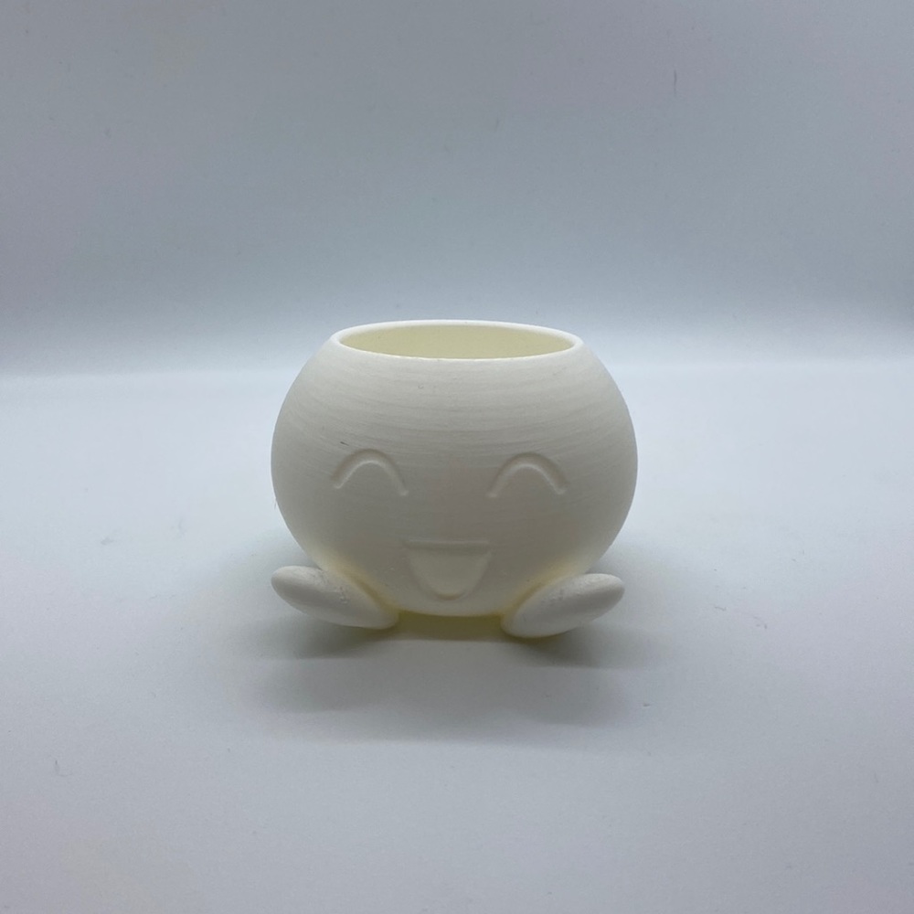Pokémon Succulent Planter